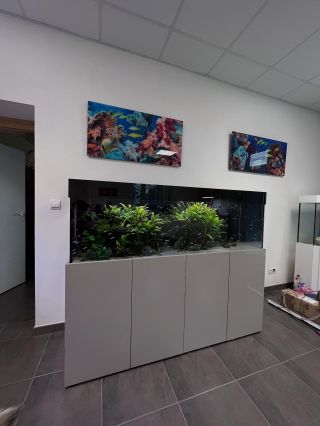 Our work at our aquarium manufacturer