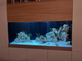 Maintenance done 👍🐠🐠