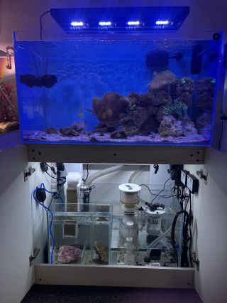 Blau marine gran cubic experience (92x50x50cm)